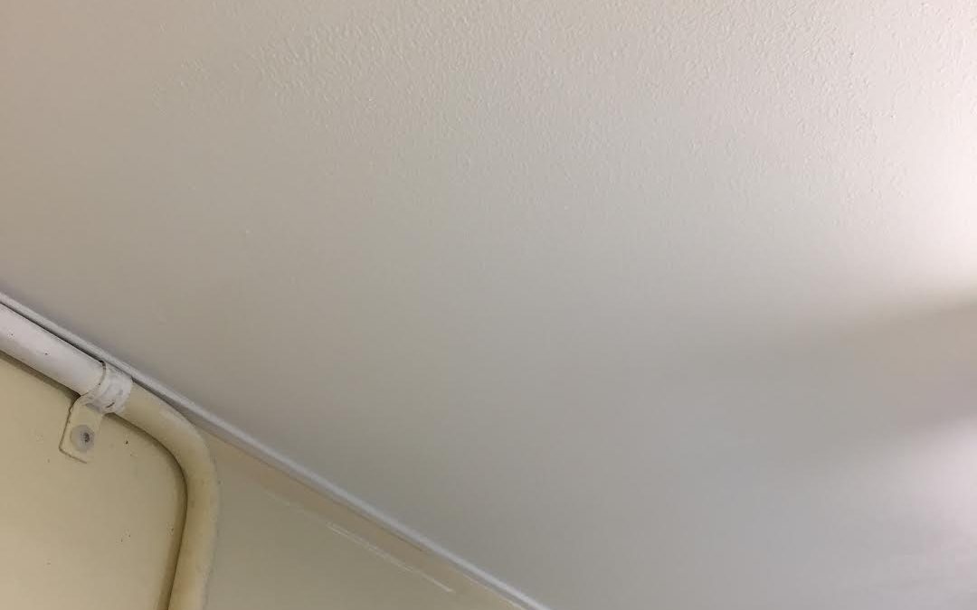 Ceiling Repair – Mould