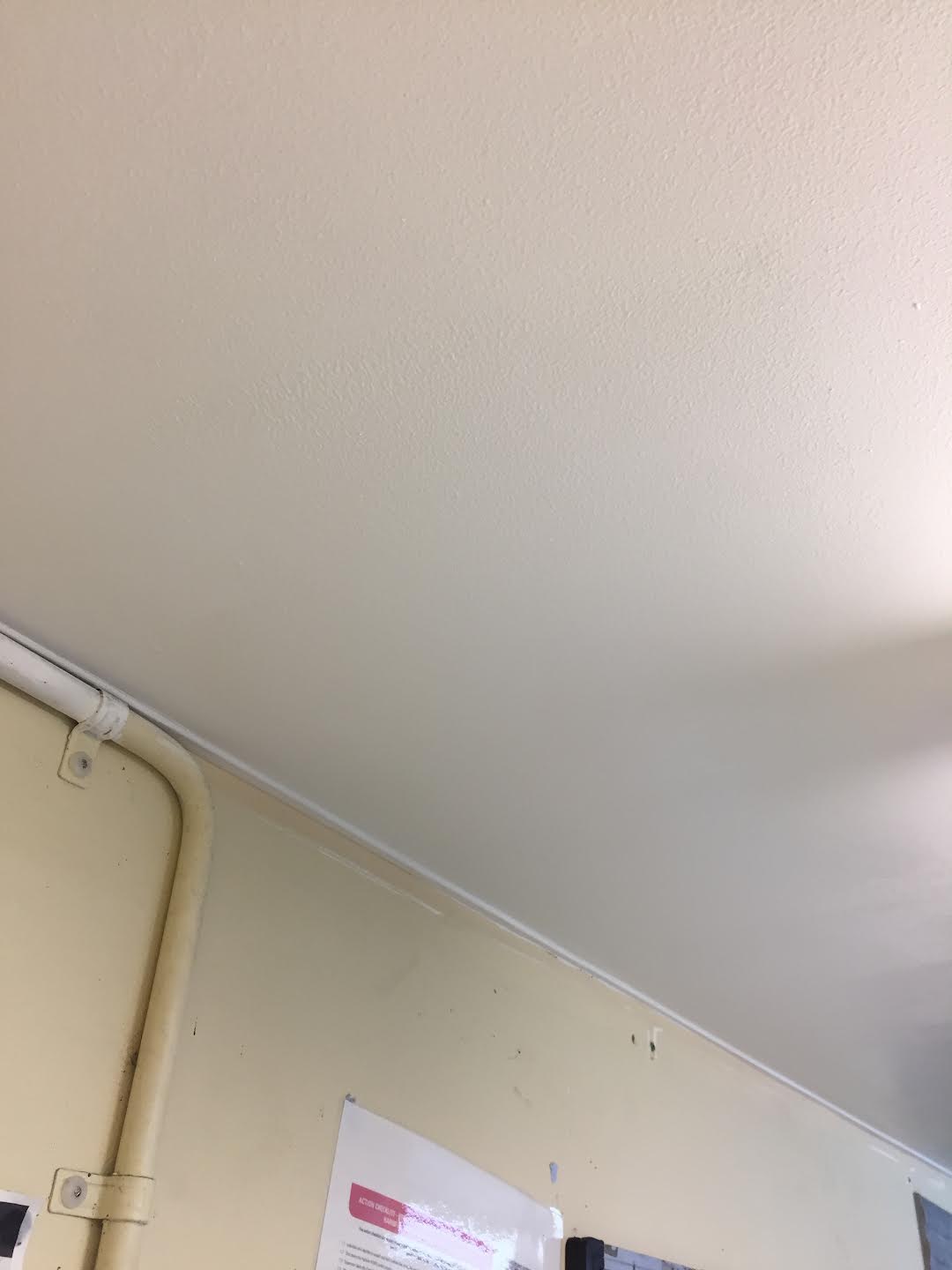 Ceiling Repair - Mould
